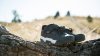 Bontrager Shoe Bontrager Rally MTB 42 Grey/Black
