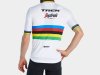 Santini Trikot Santini Trek-Segafredo Rainbow Replica S Wh